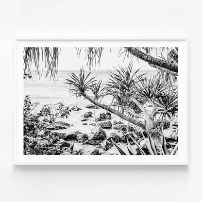 Coastal Pines B&W