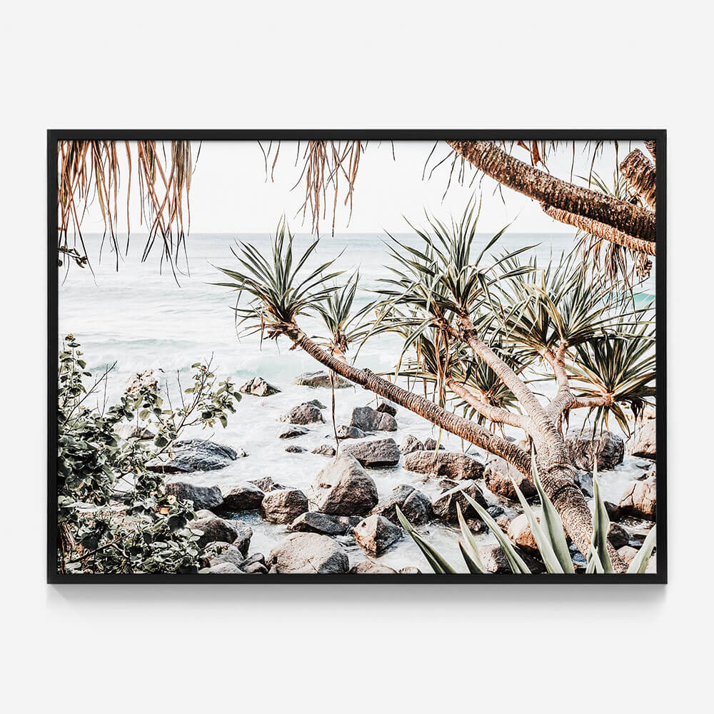 Coastal Pines