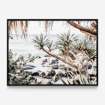 Coastal Pines