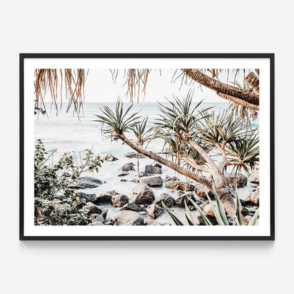 Coastal Pines