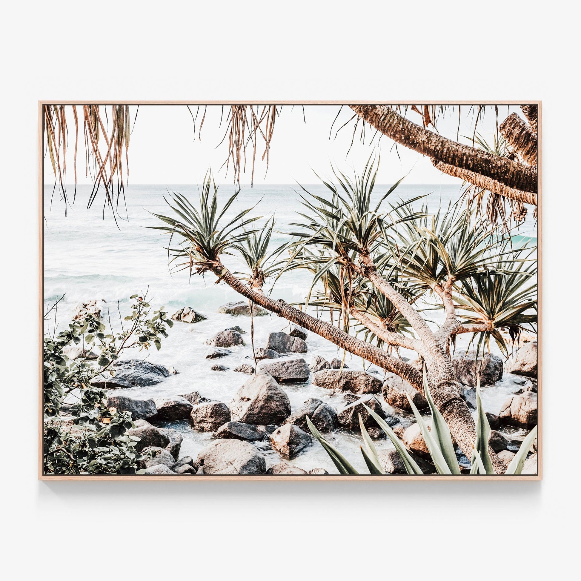 Coastal Pines Canvas print in oak frame