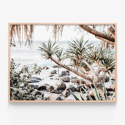 Coastal Pines