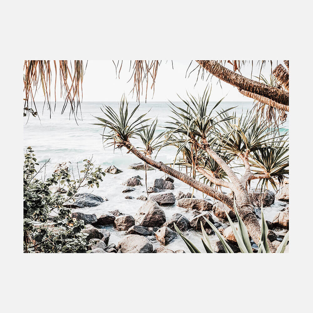 Coastal Pines