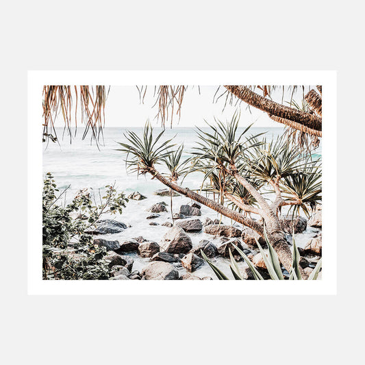 A photo print featuring an Australian coastal scene with pandanus palms along the beach