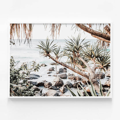 Coastal Pines