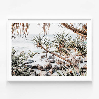 Coastal Pines