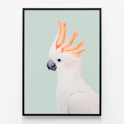 Cockatoo
