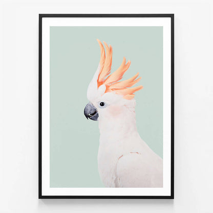 Cockatoo