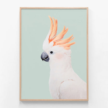 Cockatoo