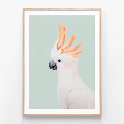 Cockatoo