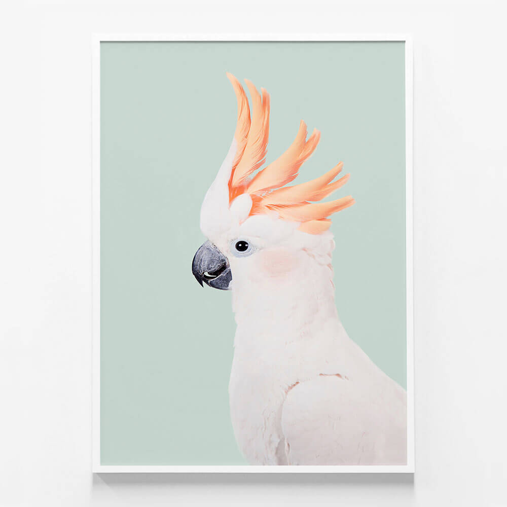 Cockatoo