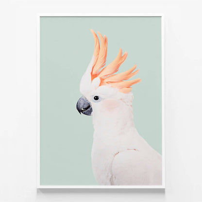 Cockatoo