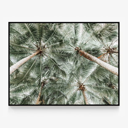 Coconut Canopy Canvas