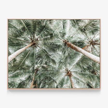 Coconut Canopy Canvas print in oak frame
