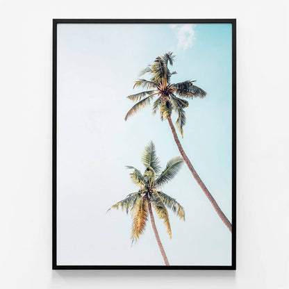 Coconut Palms