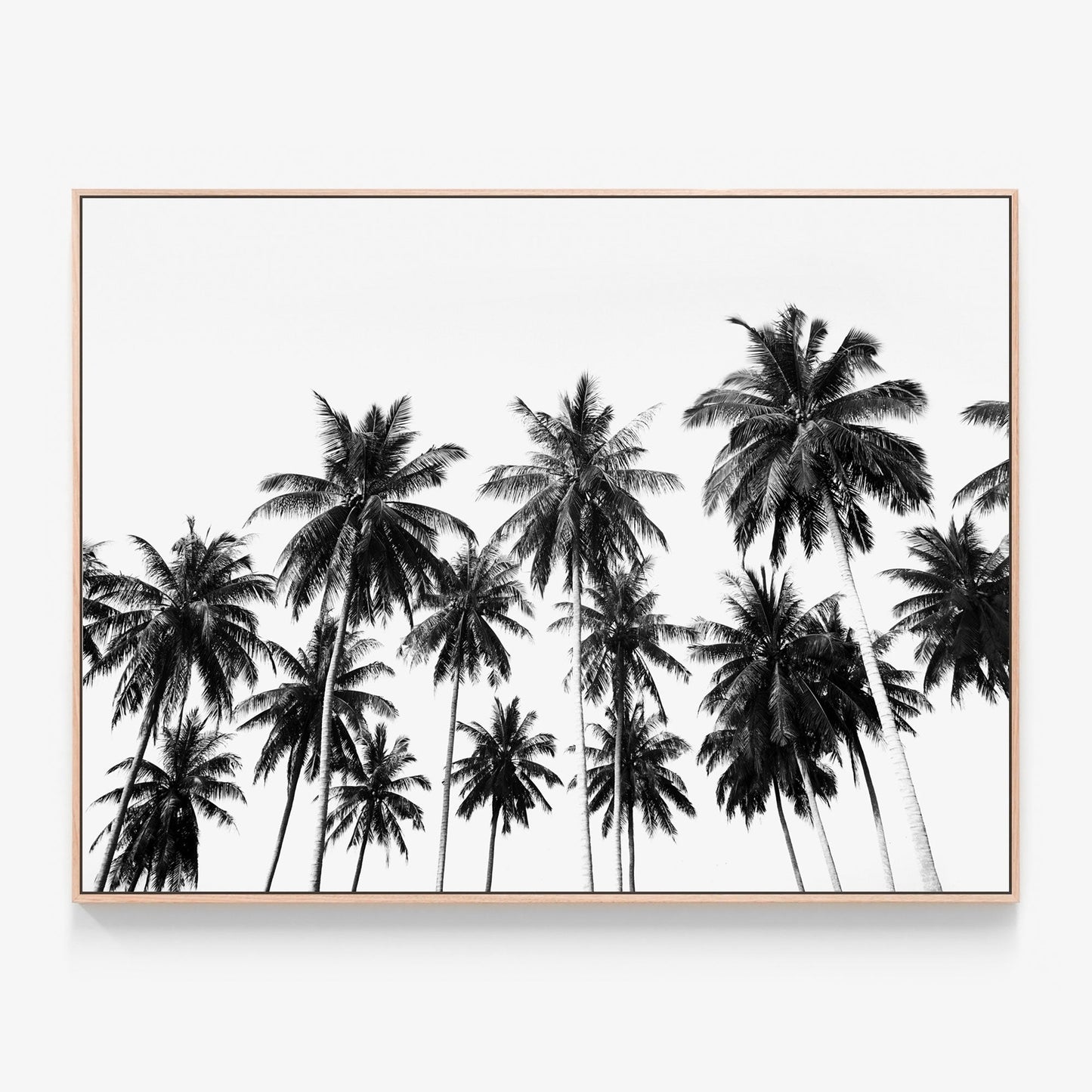 Coconut Sky Canvas print in oak frame