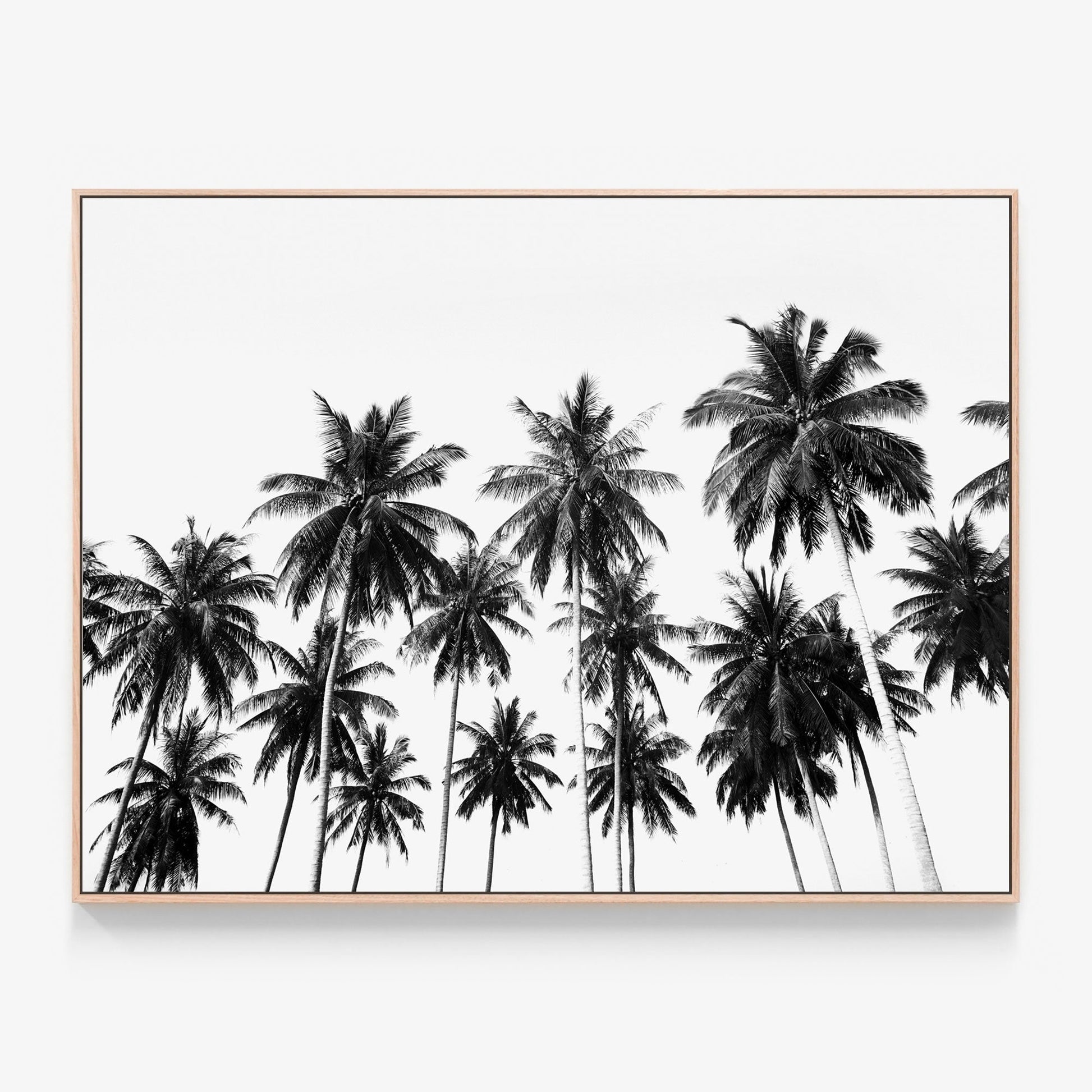 Coconut Sky Canvas print in oak frame