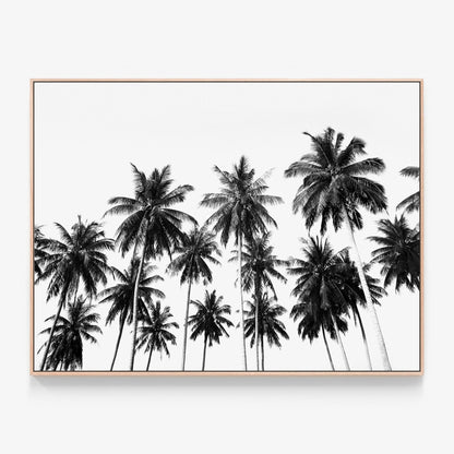 Coconut Sky Canvas print in oak frame