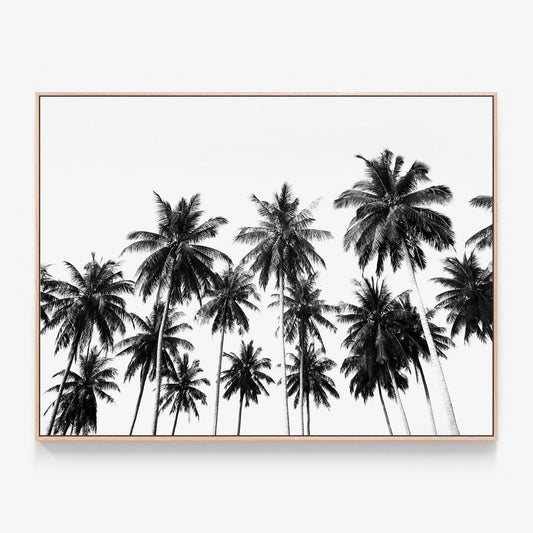 Coconut Sky Canvas print in oak frame