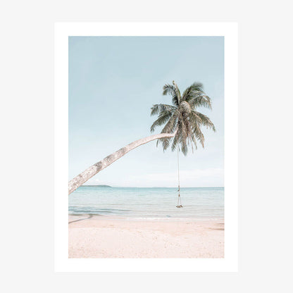 Coconut Swing