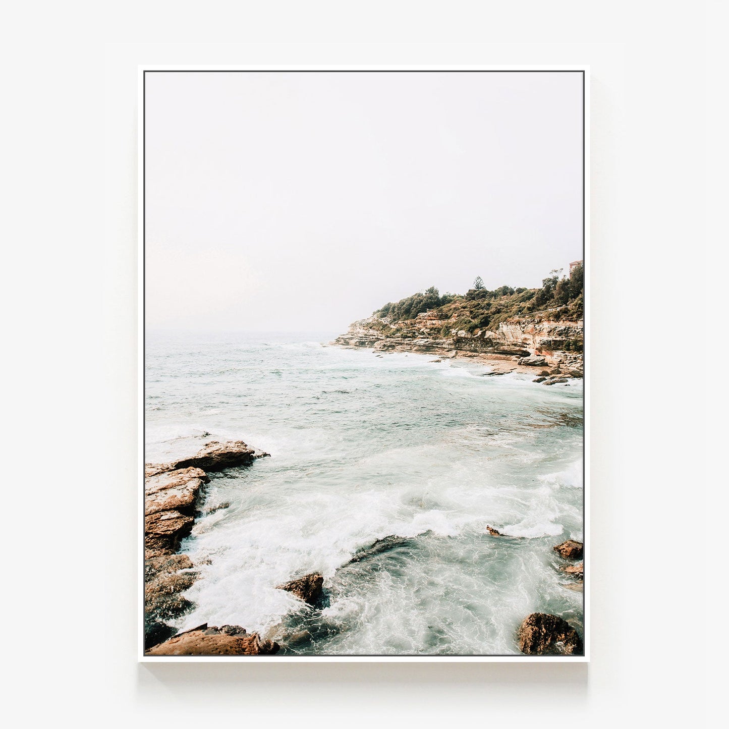 Coogee Coast Canvas