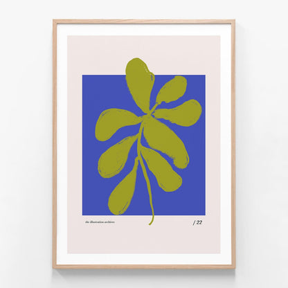 Coral Study 4 oak framed print