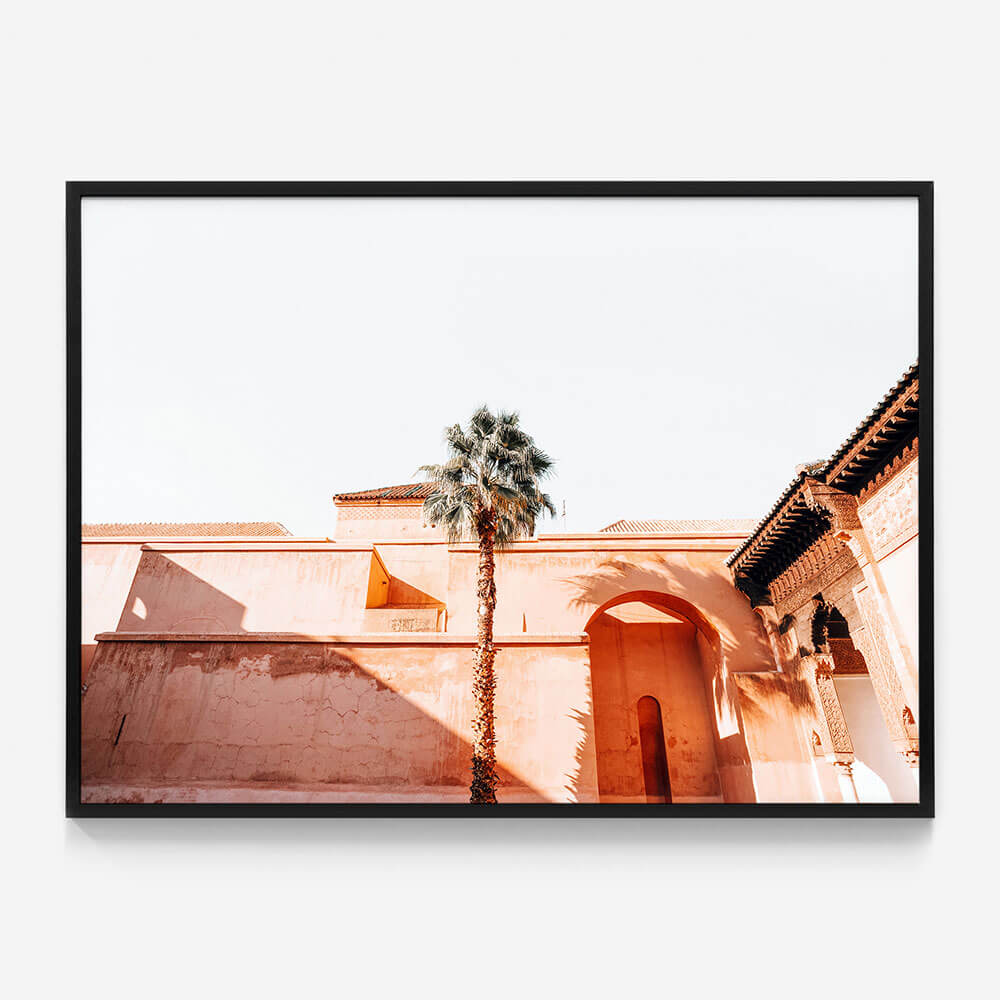 Courtyard Palm
