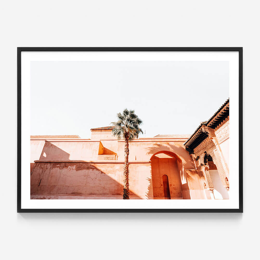 Courtyard Palm