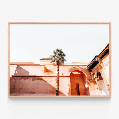 Courtyard Palm