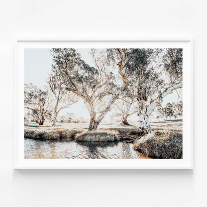 Creekside Gum Trees