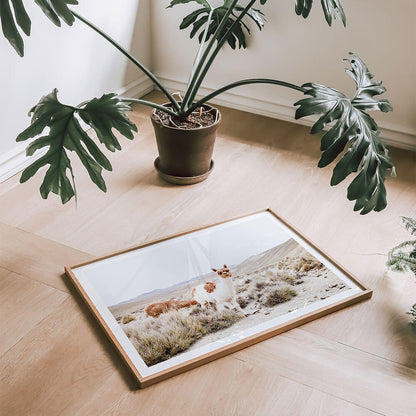 Curious-Llama-Scandinavian-Interior.jpg