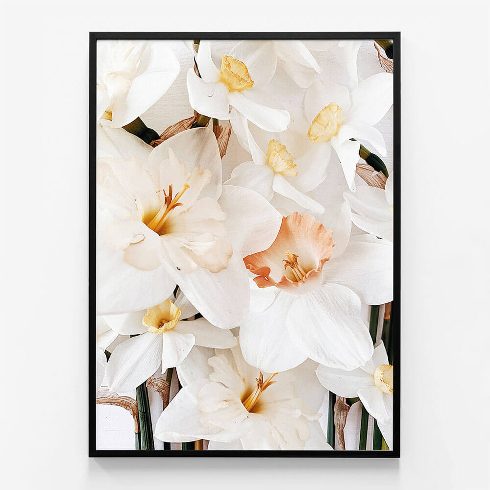 Daffodils No. 2