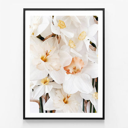 Daffodils No. 2