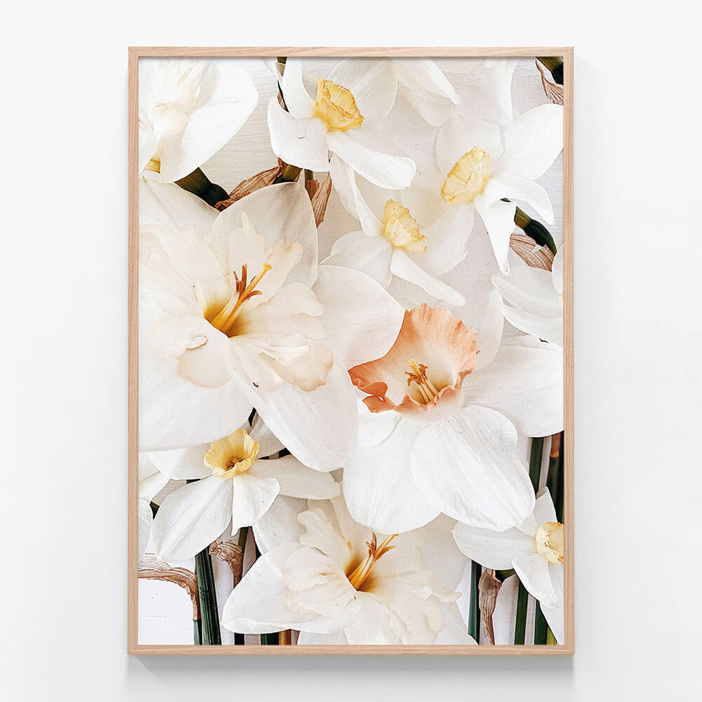Daffodils No. 2