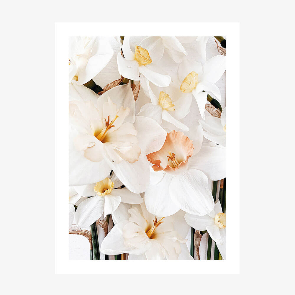 Daffodils 2 wall art print