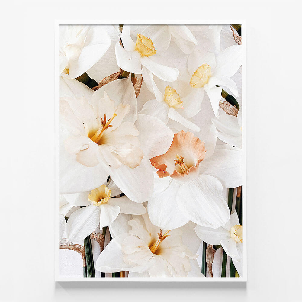 Daffodils No. 2