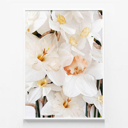 Daffodils No. 2