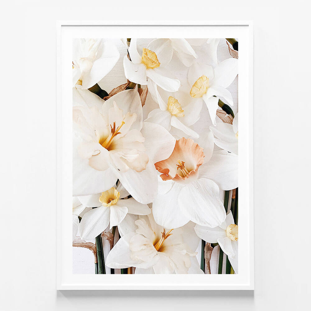 Daffodils No. 2