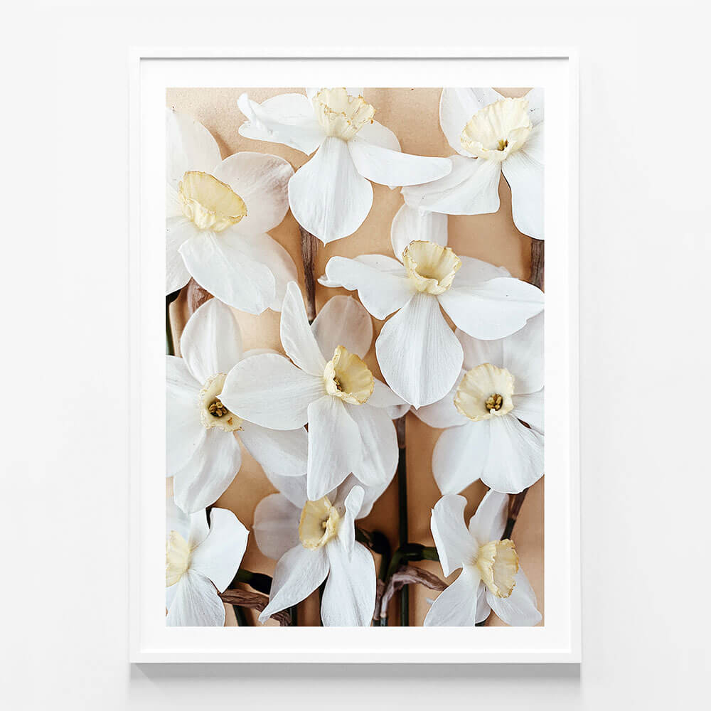 Daffodils