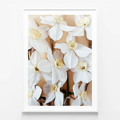 Daffodils