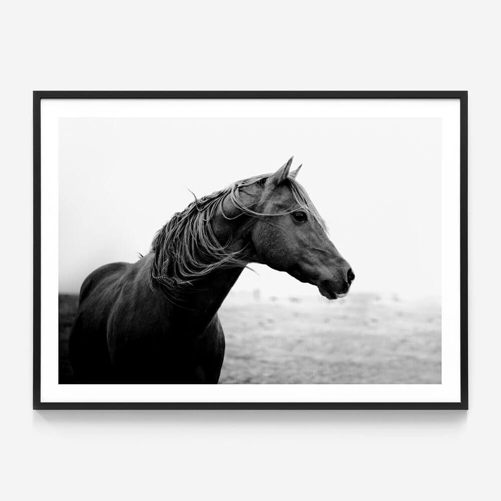 Dark Horse