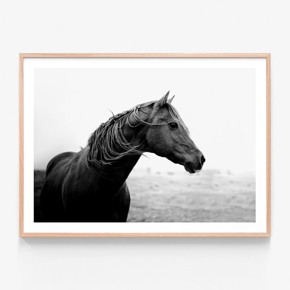 Dark Horse