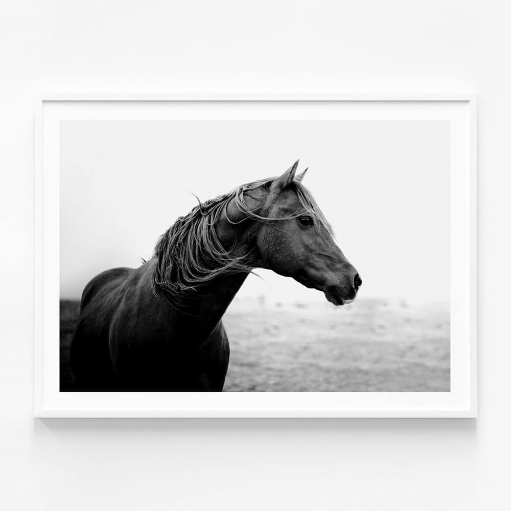 Dark Horse