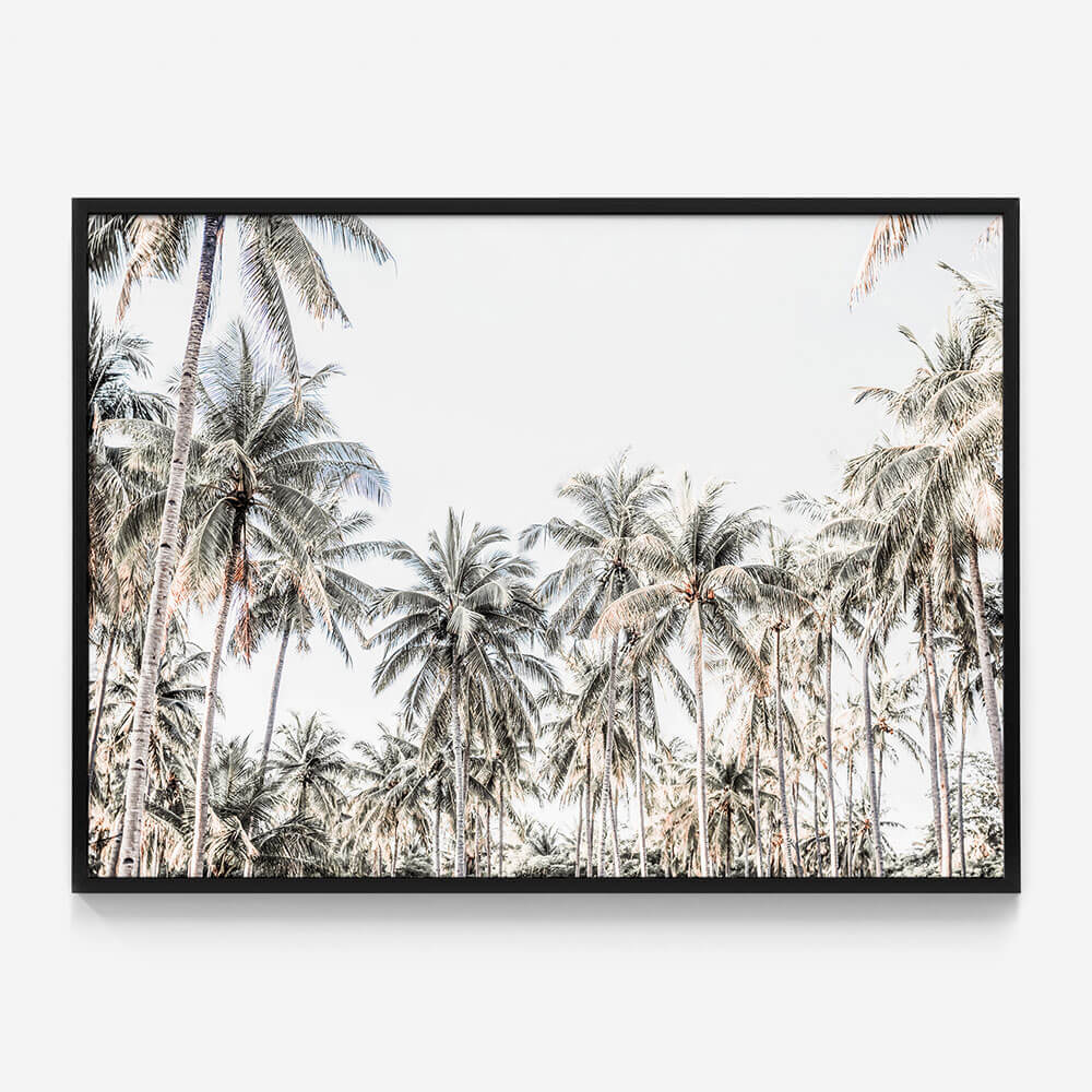 Deep Tropics