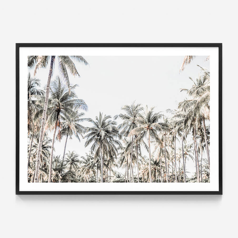 Deep Tropics