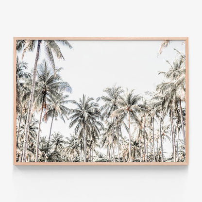 Deep Tropics