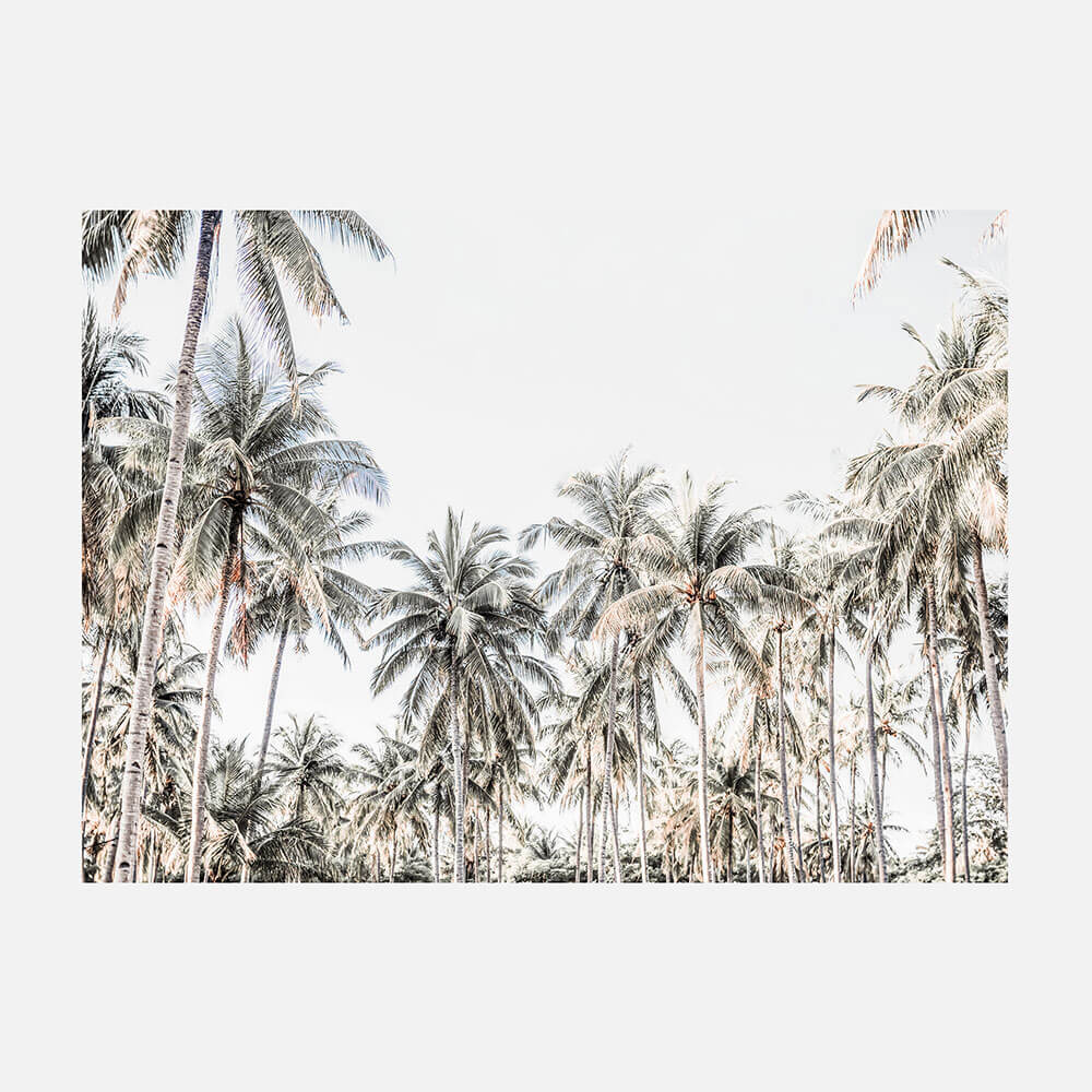 Deep Tropics