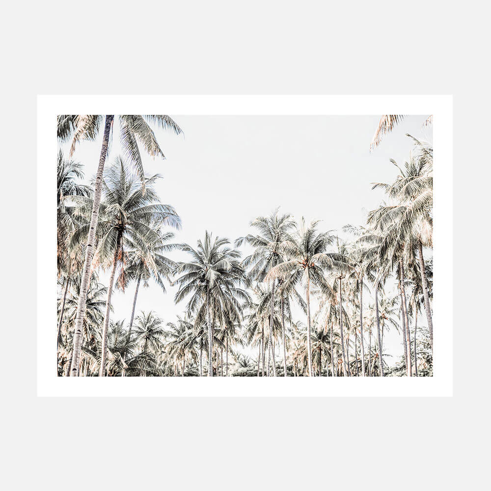 Deep Tropics