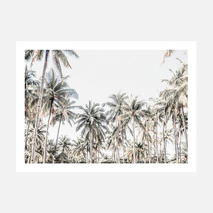 Deep Tropics