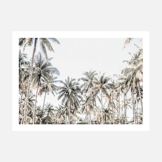 Deep Tropics